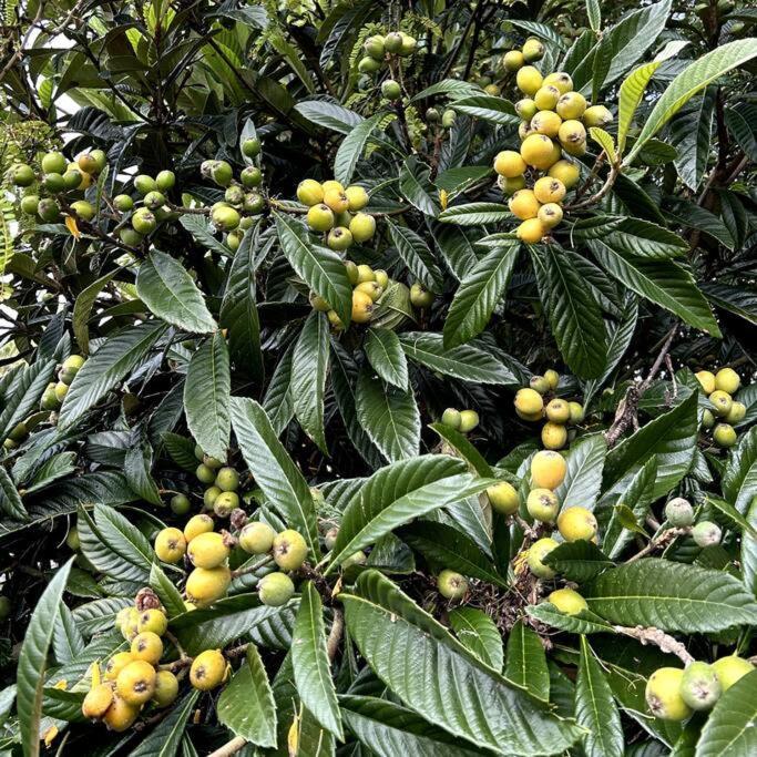 Peaceful Green Bay Charmer أوكلاند المظهر الخارجي الصورة